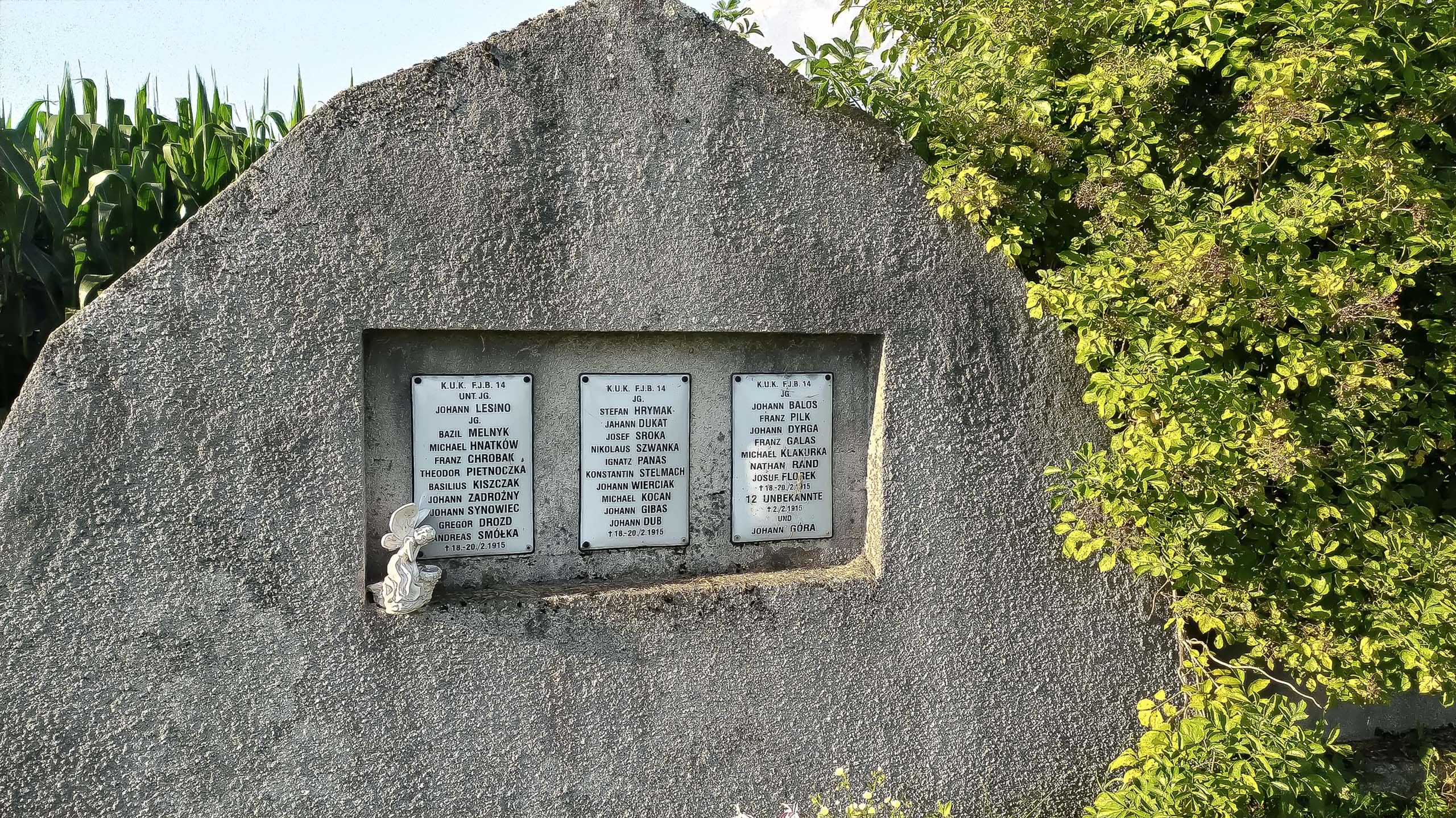 IMG 20200801 181547 kopia